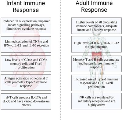 Influenza: Toward understanding the immune response in the young